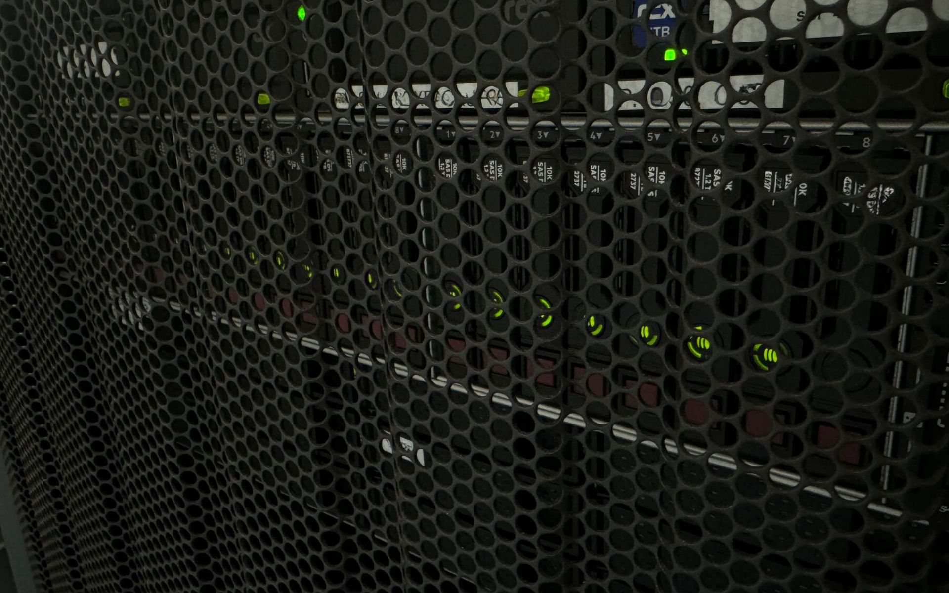 sac_beitragsbild_backup art Nahaufnahme eines Serverschranks auf Welchem mehrere Festplatten mit einer grünen LED leuchten