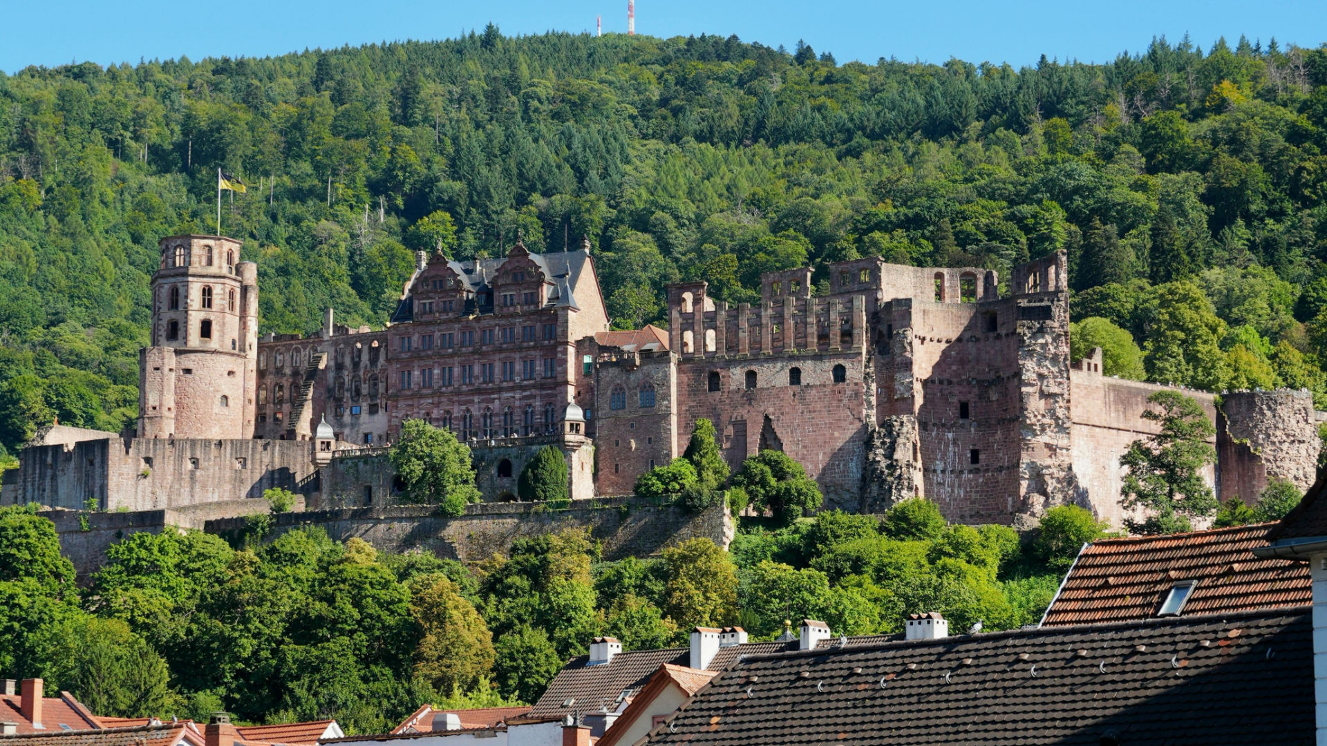 sac_bild_it-dienstleister-heidelberg Auf dem Foto ist die Burg von Heidelberg zu sehen. SAC ist IT-Dienstleister in Heidelberg.